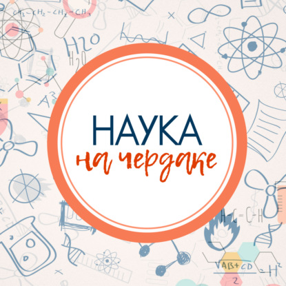 Почему умные люди не всегда быстро соображают?