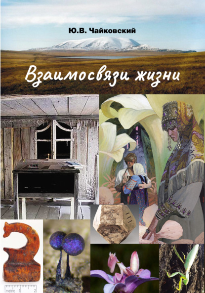 Ю. В. Чайковский — Взаимосвязи жизни. Мини-энциклопедия дополняет. Том 2. Р – Я и добавочные сведения