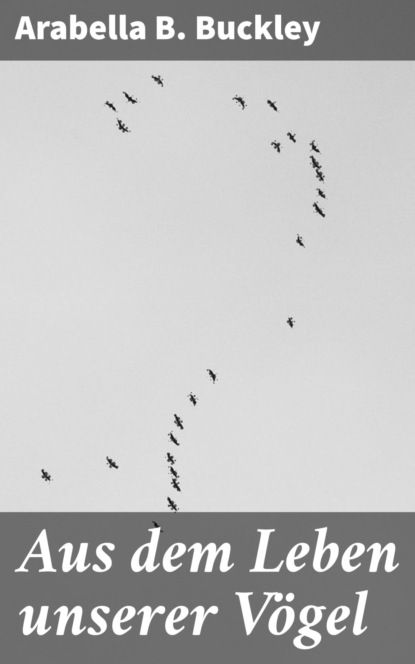 Aus dem Leben unserer Vögel