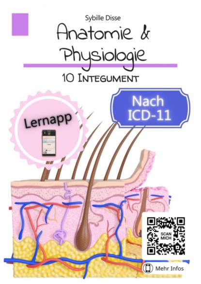 Anatomie & Physiologie Band 10: Integument
