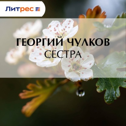 

Сестра