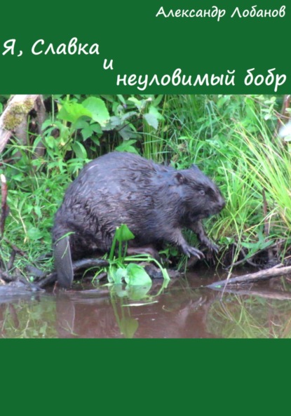 

Я, Славка и неуловимый бобр