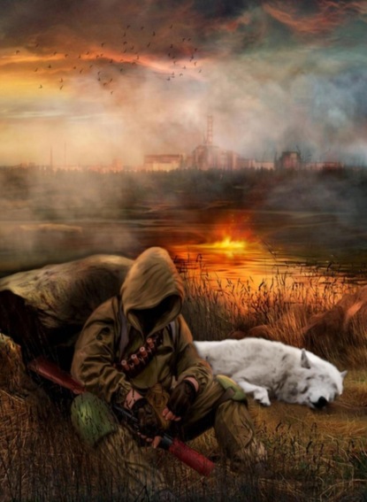 

Подлинная история сталкера Француза. Книга первая. Нет правды на земле…