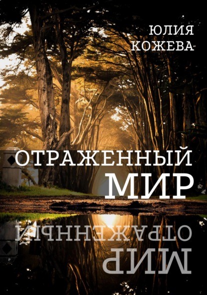 

Отраженный мир