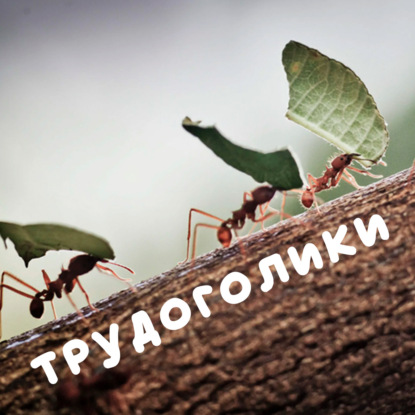 Профессия: сварщик