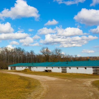 Конюшня. Елена Попп
