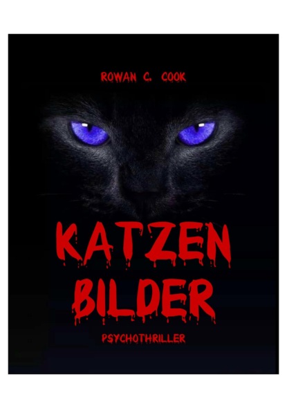 Katzenbilder