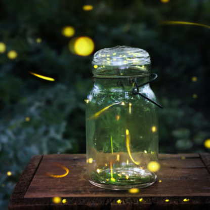 2 мая / Откуда свет у светлячков?