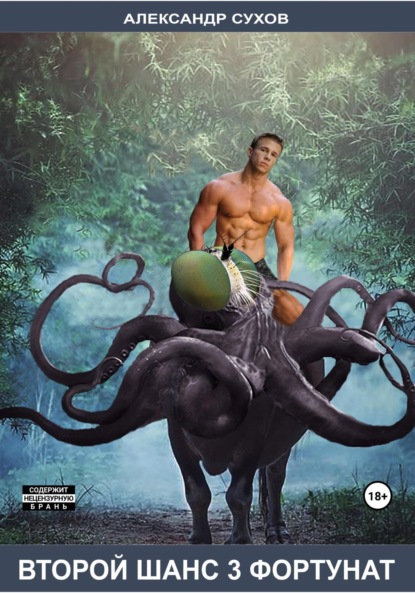 

Второй шанс 3. Фортунат