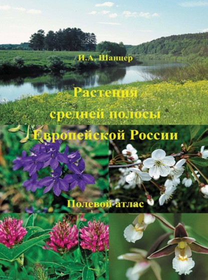 И. А. Шанцер — Растения средней полосы Европейской России. Полевой атлас