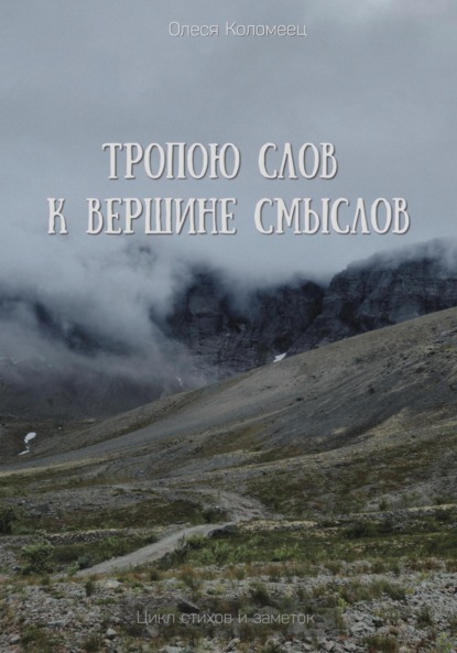 

Тропою слов к вершине смыслов
