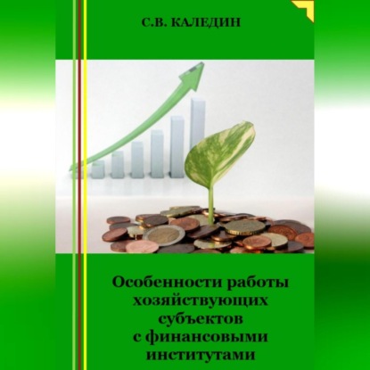 Сергей Каледин — Особенности работы хозяйствующих субъектов с финансовыми институтами