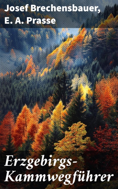 Erzgebirgs-Kammwegführer