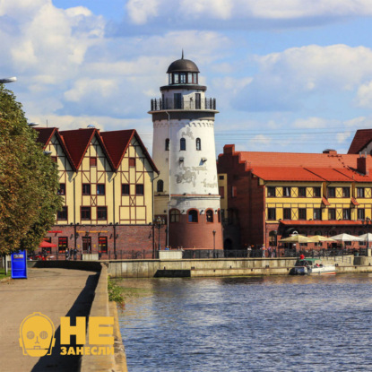  Новые русские бабки, Трип по Калининграду, Коты Зеленоградска, Три дня в Ташкенте