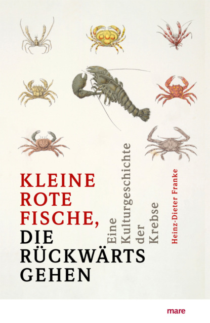 »Kleine rote Fische, die rückwärtsgehen«