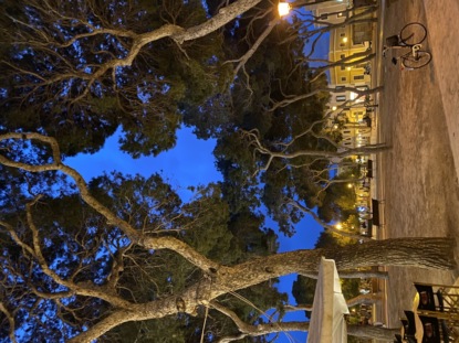 Poesie von Anni Taint