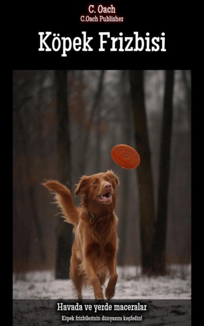 Köpek Frizbisi