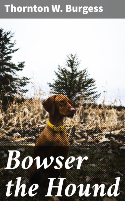 Bowser the Hound
