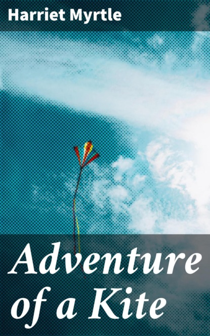 Adventure of a Kite