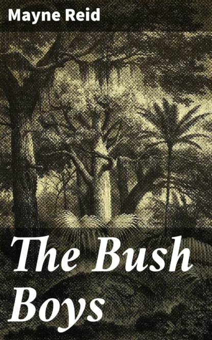 The Bush Boys