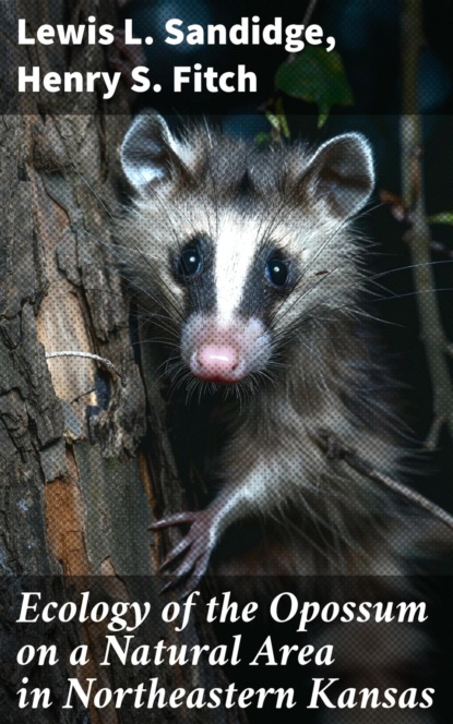 Ecology of the Opossum on a Natural Area in Northeastern Kansas