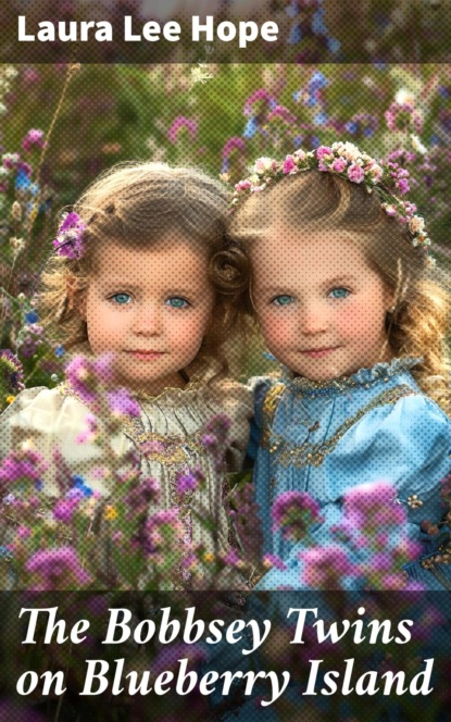 The Bobbsey Twins on Blueberry Island