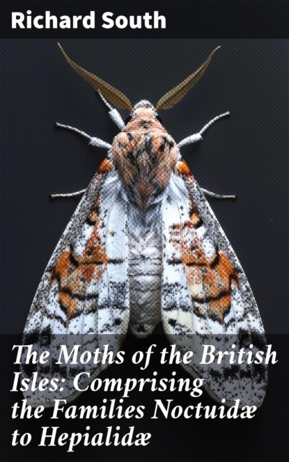 The Moths of the British Isles: Comprising the Families Noctuidæ to Hepialidæ