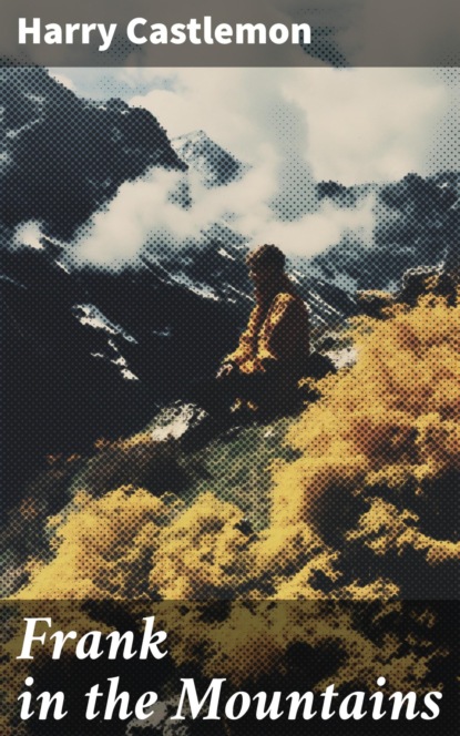 Frank in the Mountains