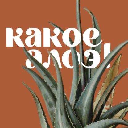 Выпуск 3: Уход за комнатными растениями зимой