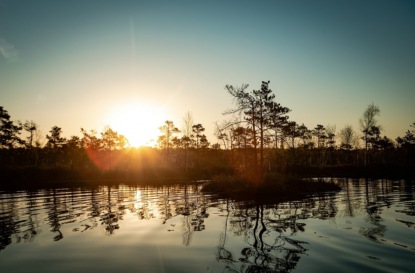 Г.К. Андерсен - "Дочь болотного царя"