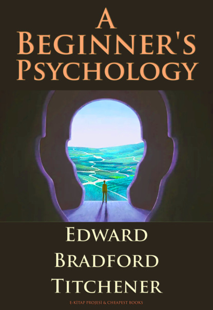 A Beginner's Psychology
