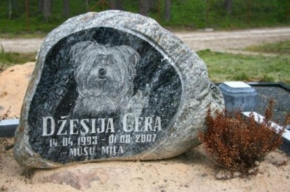 По дороге "на радугу": усыпление домашних животных