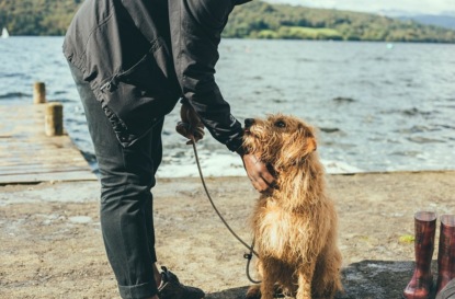 Проблема ожирения домашних питомцев. Как справиться и как не допустить?