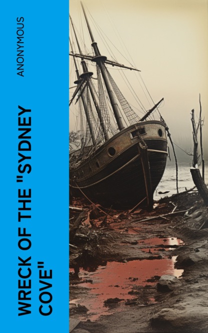 Wreck of the "Sydney Cove"