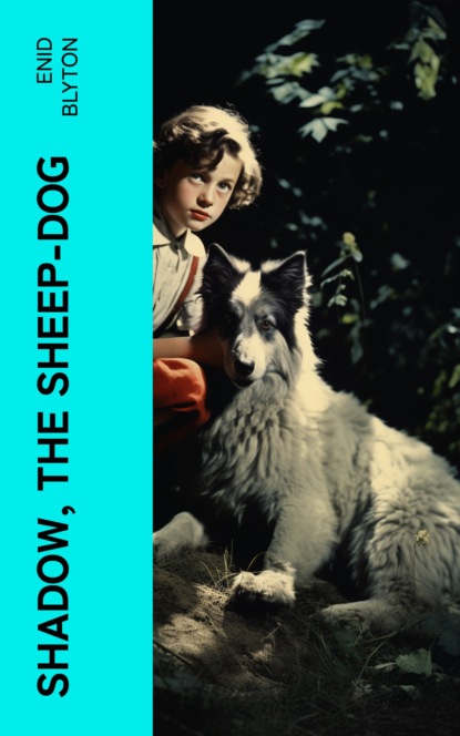 Shadow, the Sheep-Dog