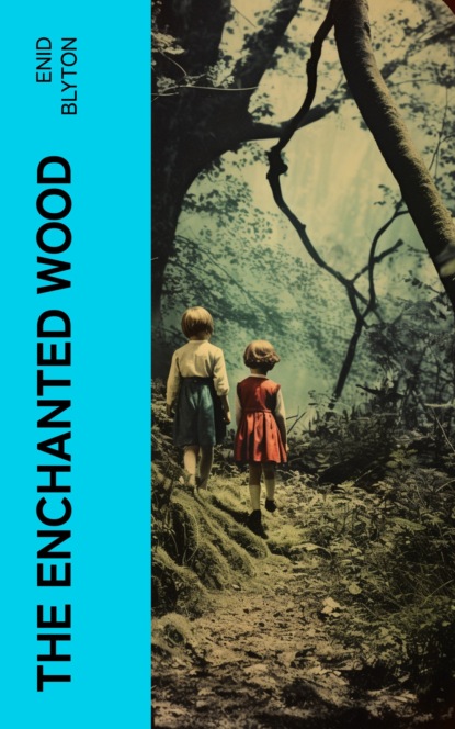 The Enchanted Wood