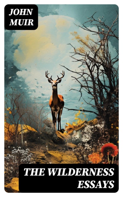The Wilderness Essays