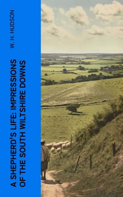 A Shepherd's Life: Impressions of the South Wiltshire Downs