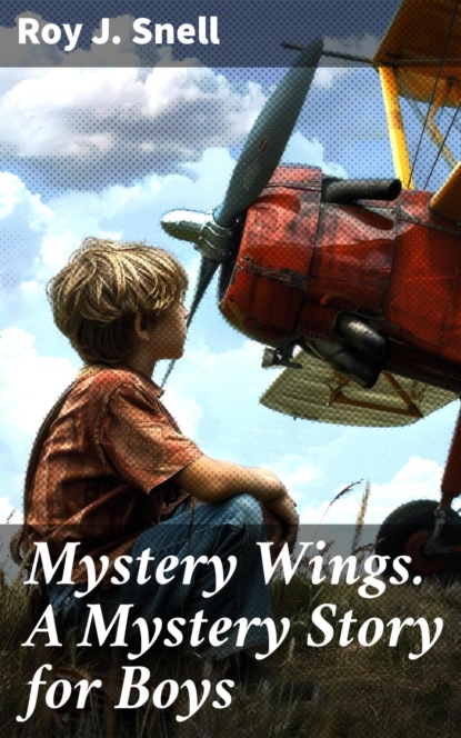 Mystery Wings. A Mystery Story for Boys
