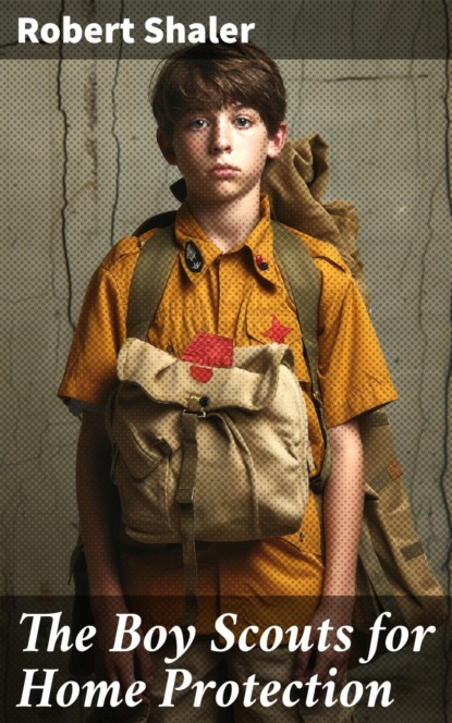 The Boy Scouts for Home Protection