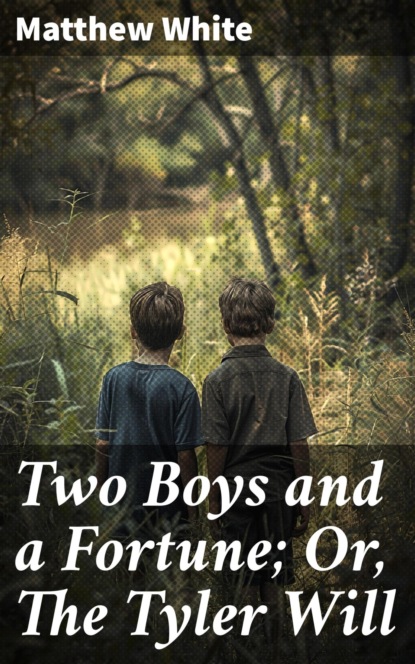 Two Boys and a Fortune; Or, The Tyler Will