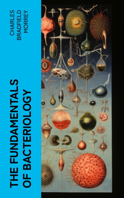 The Fundamentals of Bacteriology