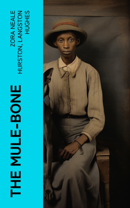 The Mule-Bone