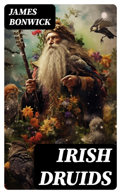 Irish Druids