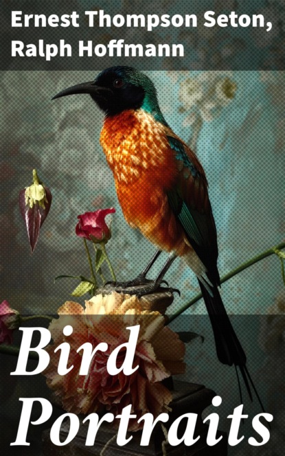 Bird Portraits