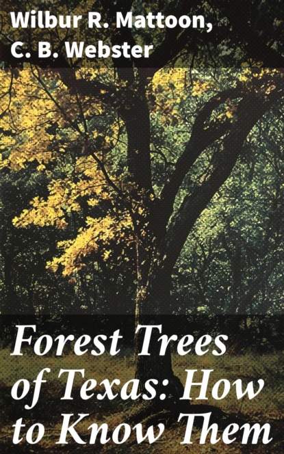 Forest Trees of Texas: How to Know Them