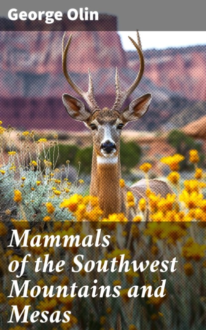 Mammals of the Southwest Mountains and Mesas
