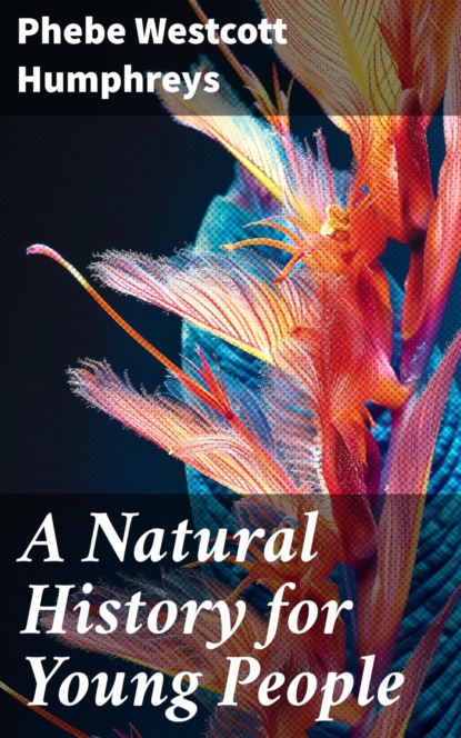 A Natural History for Young People