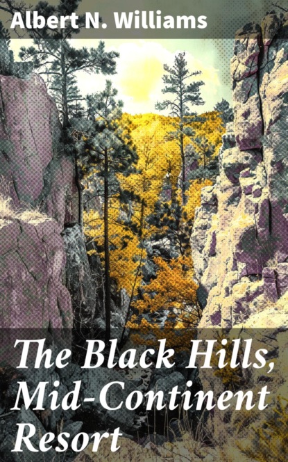 The Black Hills, Mid-Continent Resort