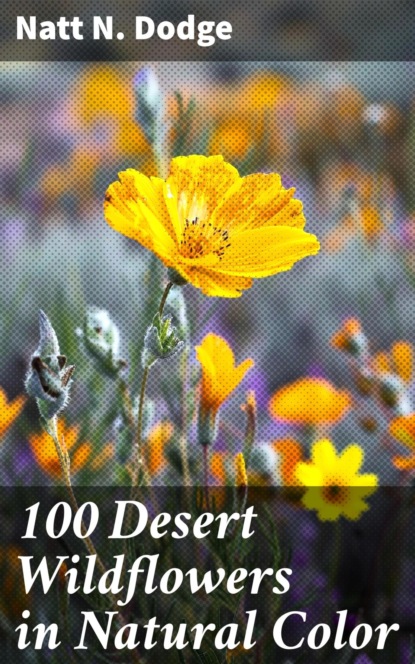 100 Desert Wildflowers in Natural Color